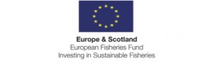 European Fisheries copy 2